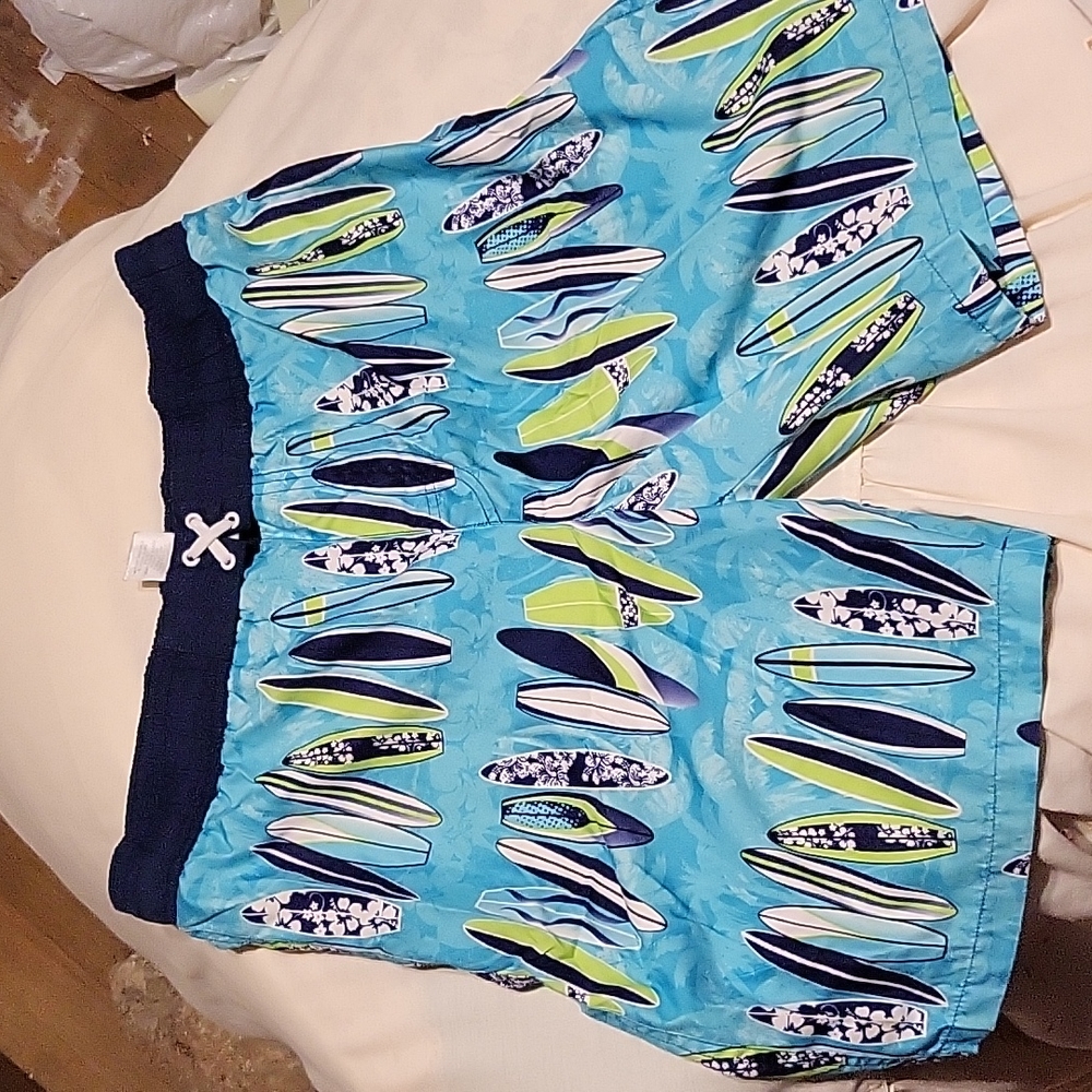 Surfboard Swim Trunks